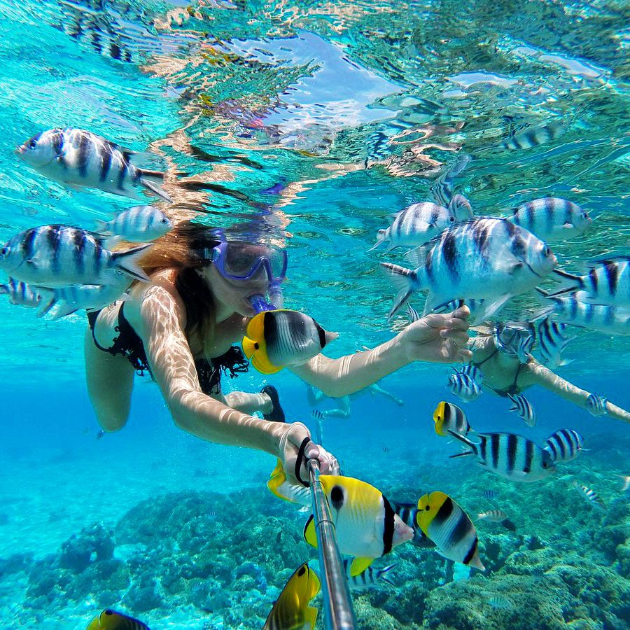 Bora Bora Tours: Snorkeling, Weddings & More | Maohi Nui